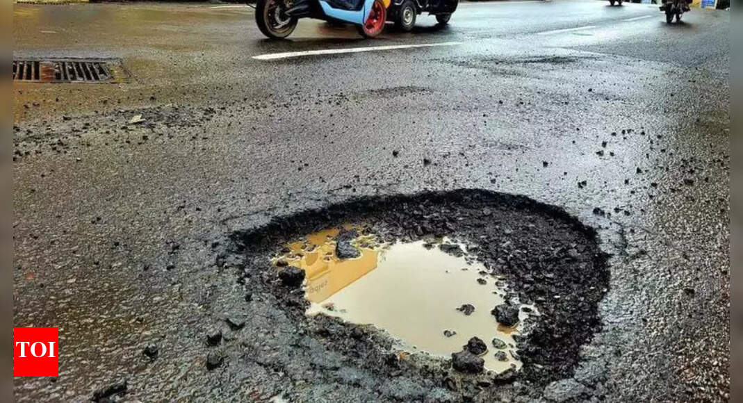 'Situation beyond hope': Blaming potholes, BlackBuck CEO announces ‘breakup’ with Bengaluru; netizens rally