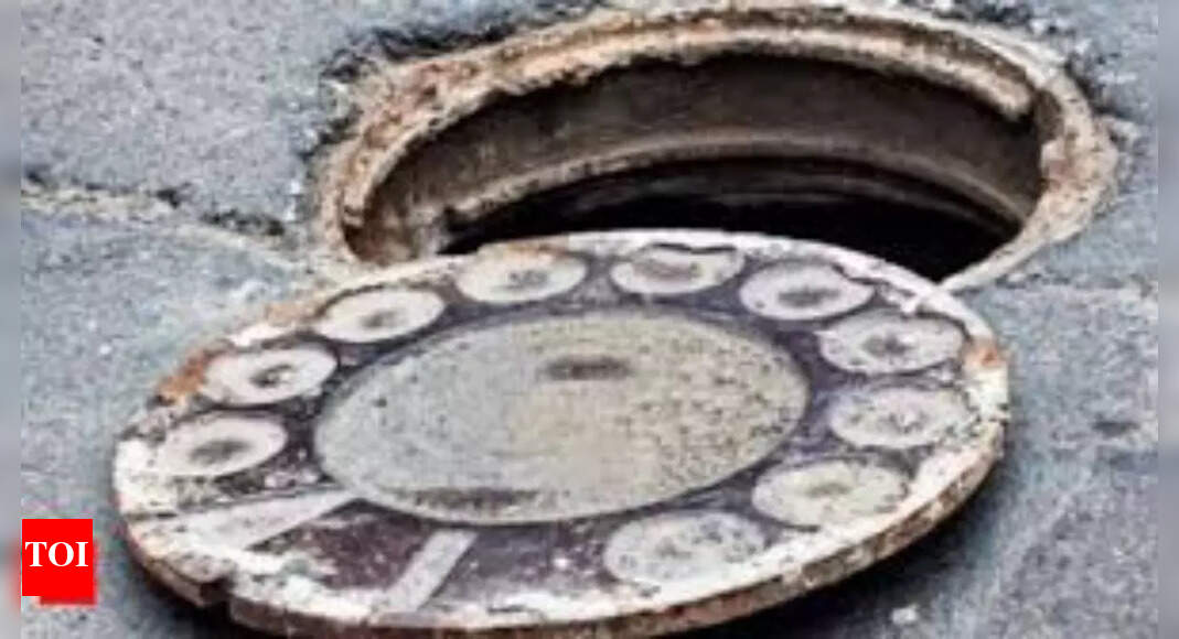Sanitation worker dies, 3 critical after sewer fumes in Delhi