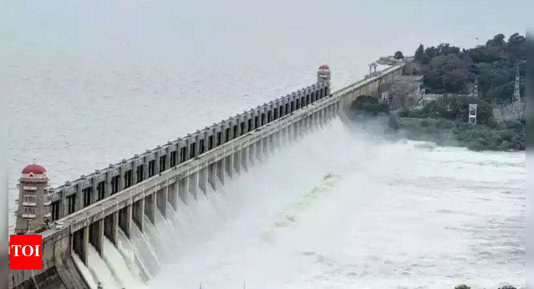 Karnataka dams lose 12.5pacity to silt; Tunga Bhadra, Basava Sagar worst hit