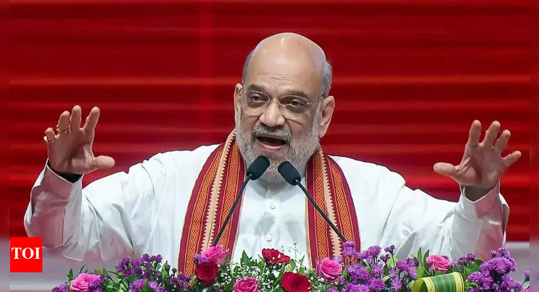 <div>'PM Modi ensured safety of borders':  Amit Shah hails Op Sindoor; what he said about Bihar SIR</div>