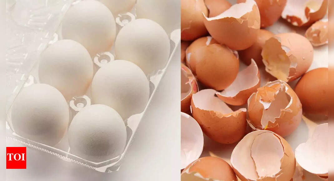 Why you should never throw away eggshells