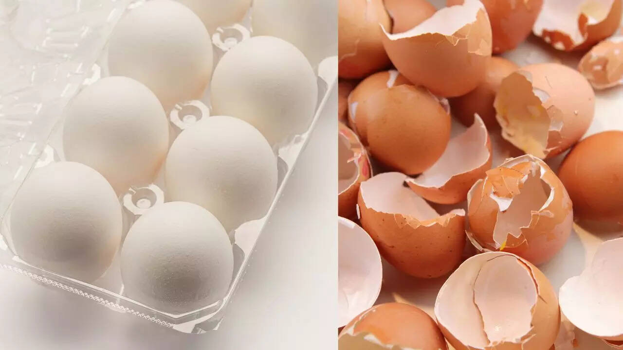 Deep Gorge EggshellSandEggshells Benefits: Why you should never 