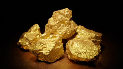 Paris museum heist: Thieves steal €600,000 gold samples; alarm systems  under suspicion - The Times of India