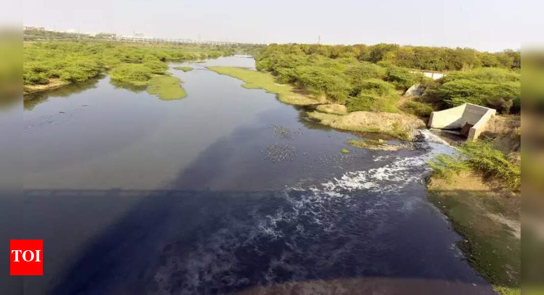 The National Green Tribunal (NGT) imposed a fine of Rs 12.42 crore on Naroda Enviro Projects Ltd (NEPL) — which manages the common effluent tr...