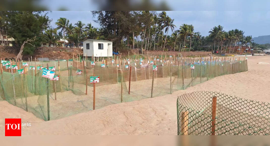 Submit details of removal of Agonda structures: HC to Goa govt