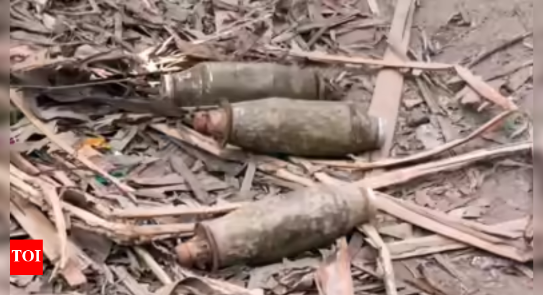 <div>Rusty mortar shell defused in J&K’s Kathua</div>