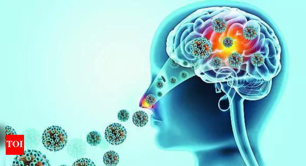 <div>19 dead this year: 'Brain-eating' amoeba sparks political slugfest in Kerala House</div>