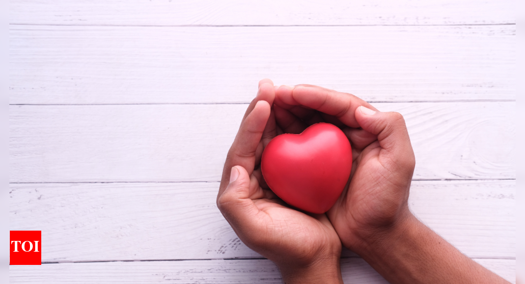 Heart health: American Heart Association guidelines reveal SIMPLE eating habits to lower cholesterol levels, and prevent heart disease