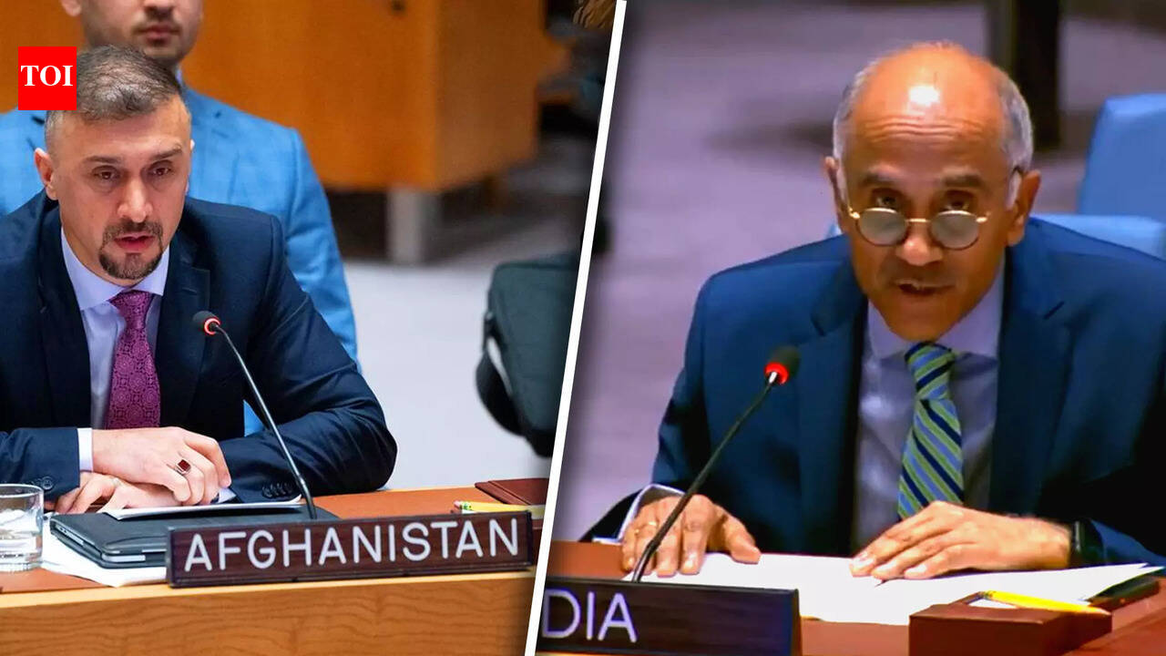 At UN, India Urges United Global Action To Stop Terror Groups From ...
