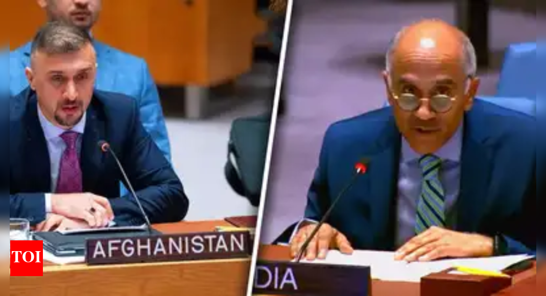 <div>'Paramount interest': India urges UN to stop terror Pakistan-based threats in Afghanistan; targets LeT, JeM</div>