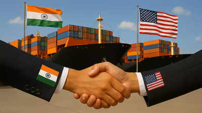 Amid India-US Trade Talks, CEA Nageswaran Says 'Penal Tariff Likely To Be Withdrawn After Nov 30'
