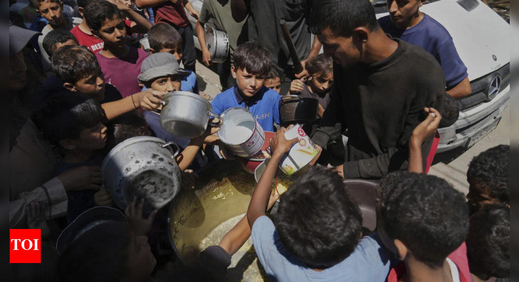 What is 'Together for Palestine'? From Bastille to Cumberbatch; star lineup backs Gaza charities - £1.5m raised