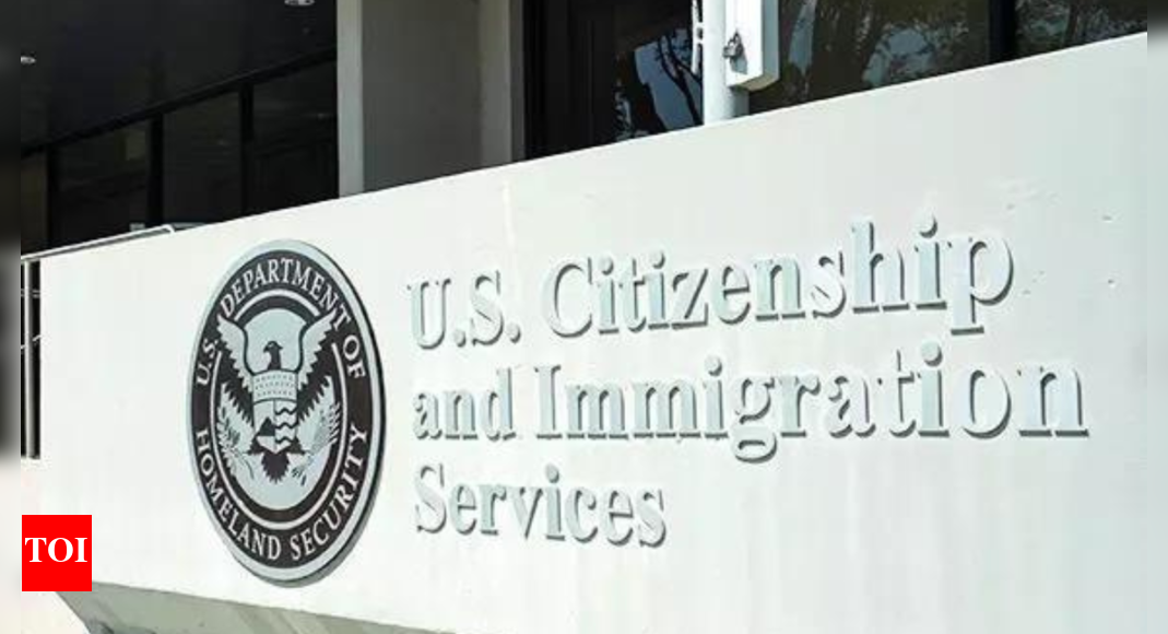 Policy hurdles and enforcement pressures strain US corporate immigration