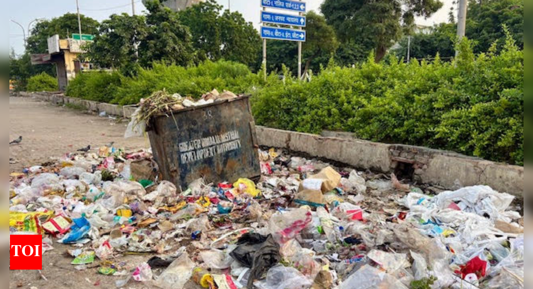 Garbage, choked sewers, dead streetlights: Noida Sector Beta 1 cries for civic attention