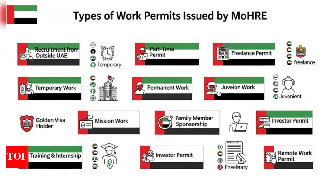 The 13 official UAE Work Permits: Complete details on eligibility, requirements, explained