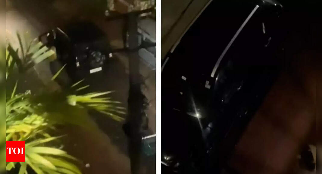Watch: Grocery order arrives in a premium SUV car,  internet flooded with wild guesses