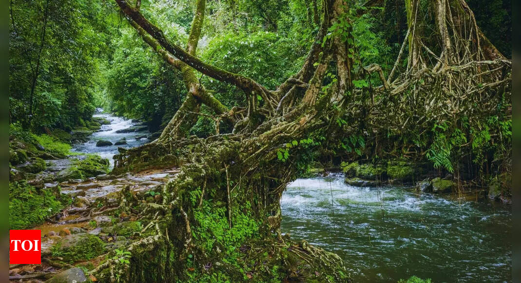 Visiting India? 5 best holiday ideas for a unique vacation