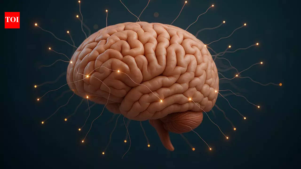 No brain, no problem: How these animals survive against all odds