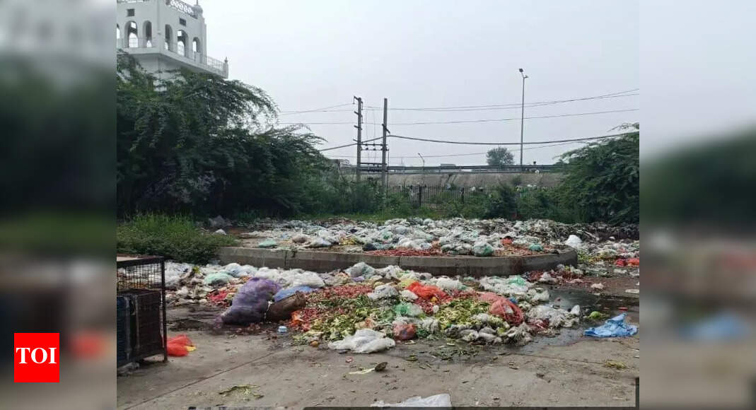 Guwahati Municipal Corporation directed to implement mandatory waste segregation to combat pollution