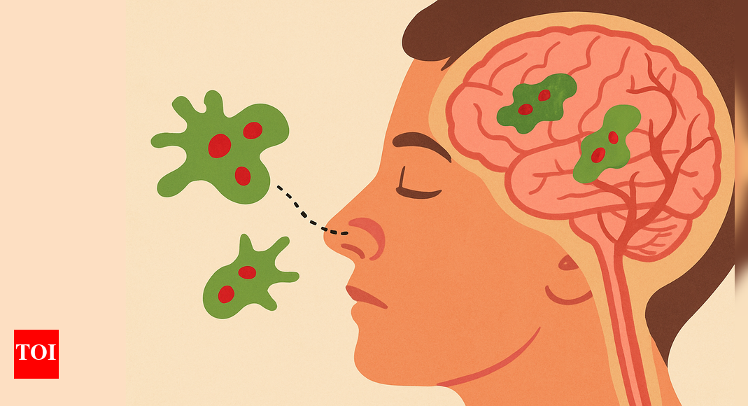 How a rare brain-eating amoeba is killing people in Kerala