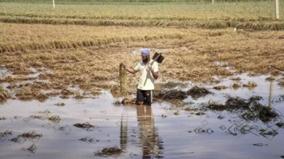 Intellectuals, writers, artists, farmer groups condemn vilification of migrant workers in Punjab