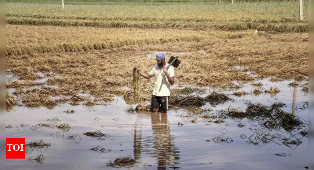 Intellectuals, writers, artists, farmer groups condemn vilification of migrant workers in Punjab Intellectuals, writers, artists, farmer groups condemn vilification of migrant workers in Punjab