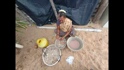Poromboke Festival in Chennai: Celebrating the Livelihoods of Fishers, Farmers, and Artisans