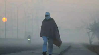Coldest winter in decades about to hit Delhi, Gurgaon, Noida, Ghaziabad and Faridabad? Experts reveal how La Niña could chill India in 2025–26 | - The Times of India