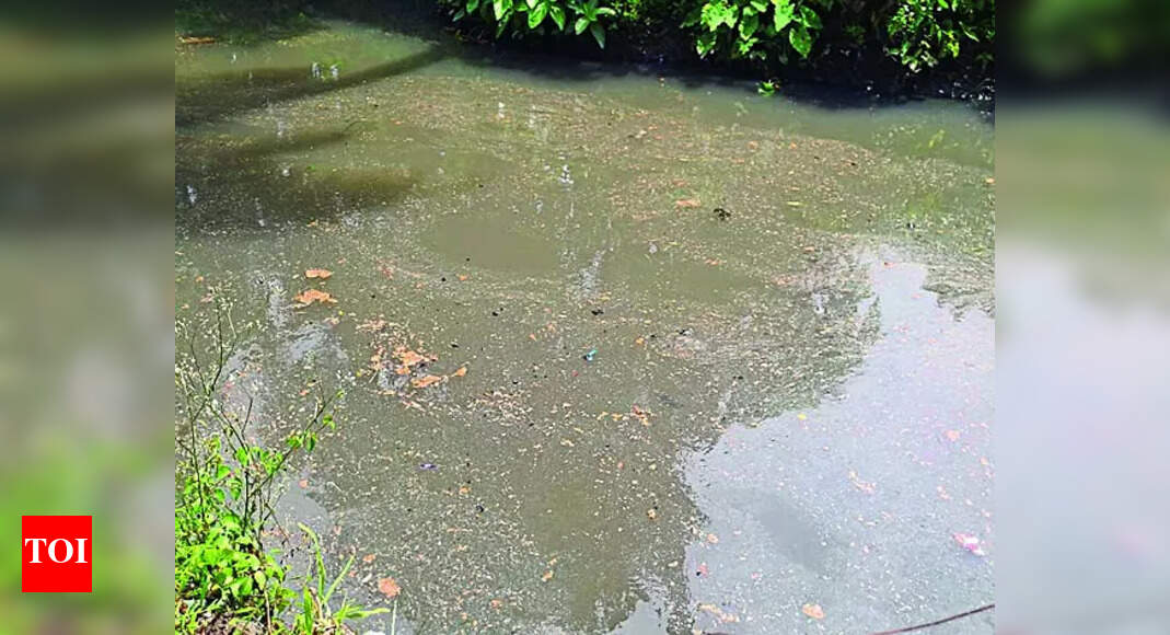 Govt issues SOP for right of way permissions near water bodies for pipeline corridors