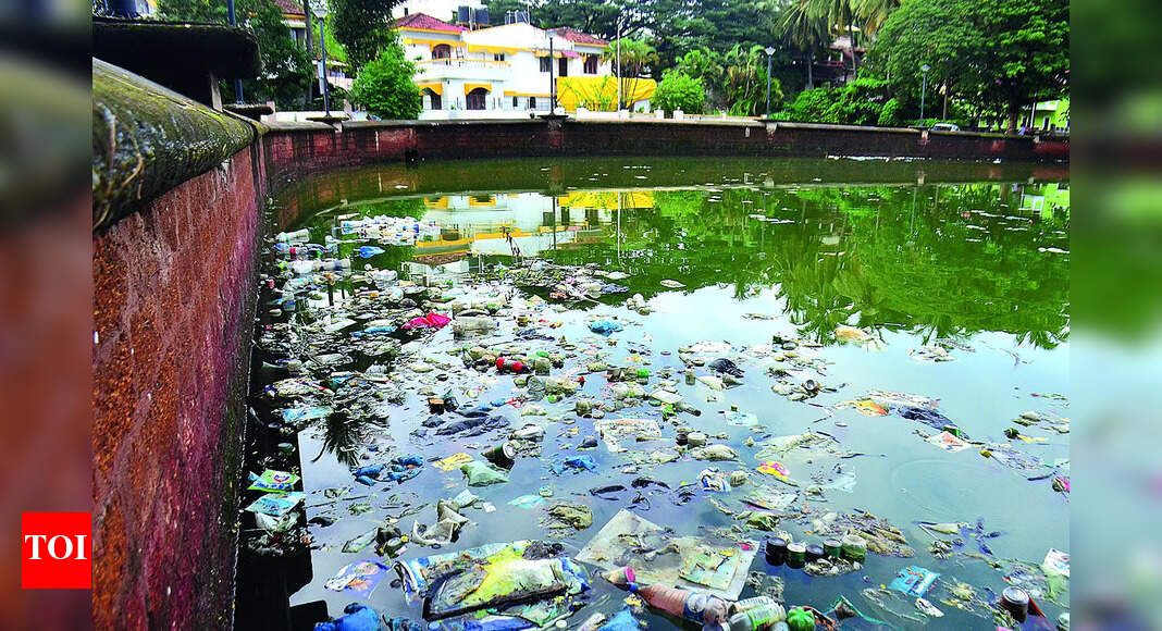 State to prepare plan for revival of 39 ‘worst’ polluted lakes
