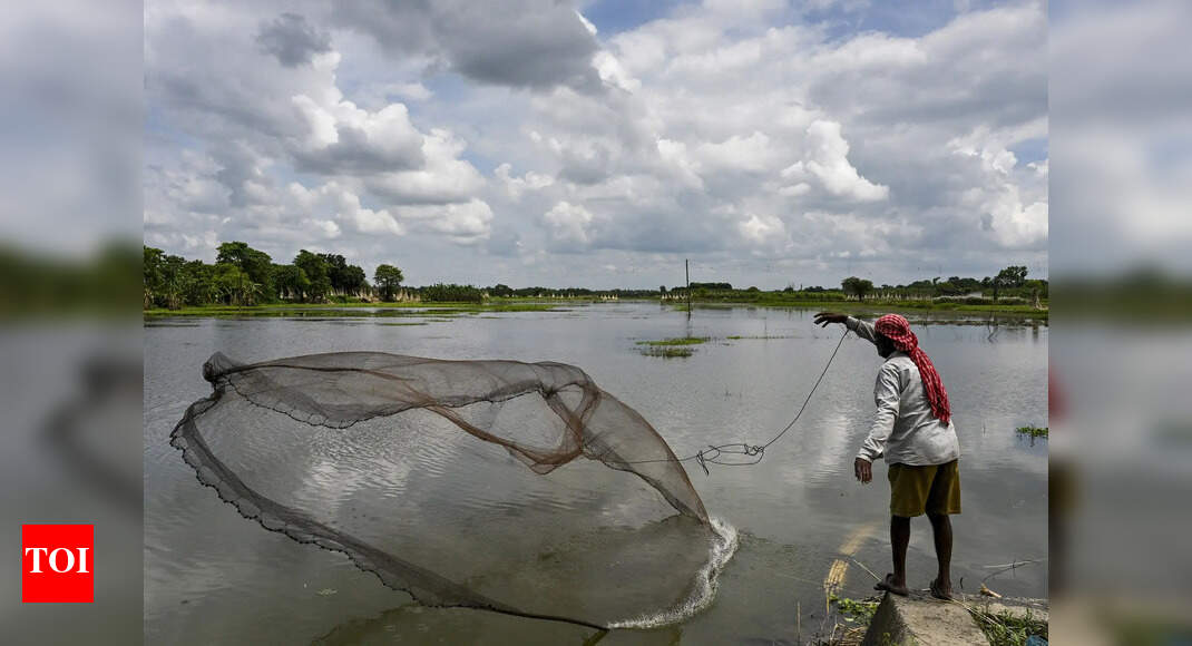 Local fisherfolk in South Goa ask for control of sopo contract