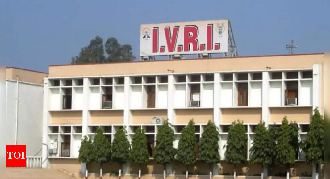 UP: IVRI examines 9th case of rare rat-borne disease