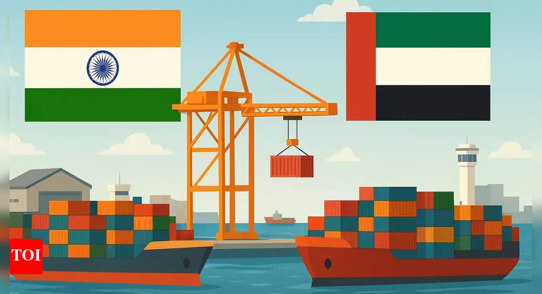 Big trade boost: India, UAE aim to double bilateral non-oil, non-precious metal trade to 0 billion; what’s on the agenda – The Times of India