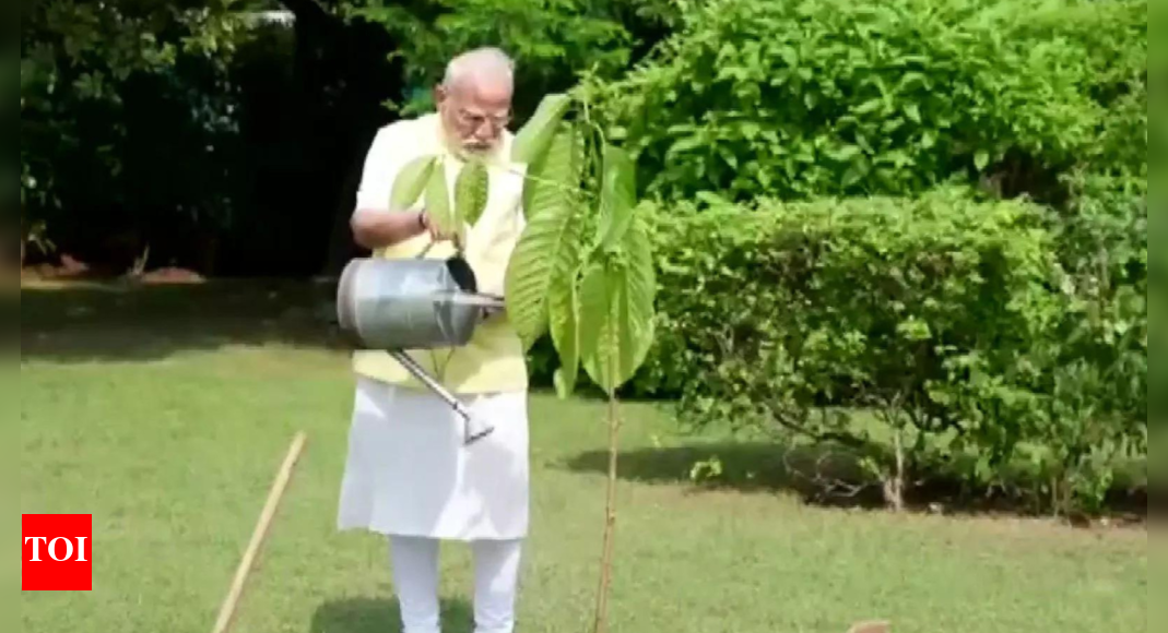 Watch: PM Modi plants a Kadamb sapling; King Charles gifted it on his birthday