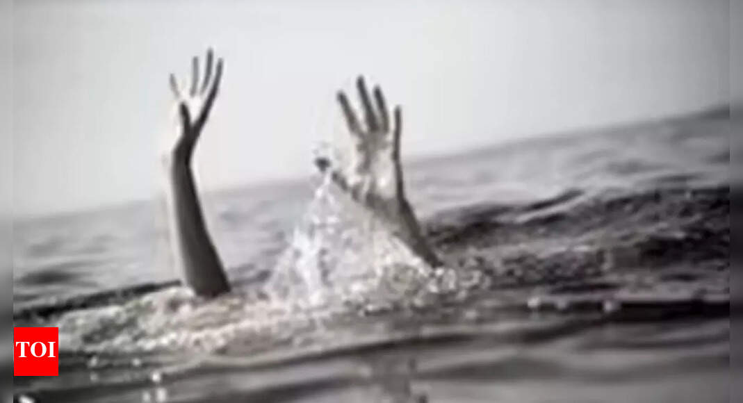 Tamil Nadu: 2 govt school students drown in Chitlapakkam lake near Tambara