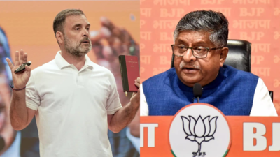 'Wake up at 4am, delete 2 voters': Rahul Gandhi's 'chunaav ka chaukidaar' jibe amid 'vote chori' claims; BJP hits back