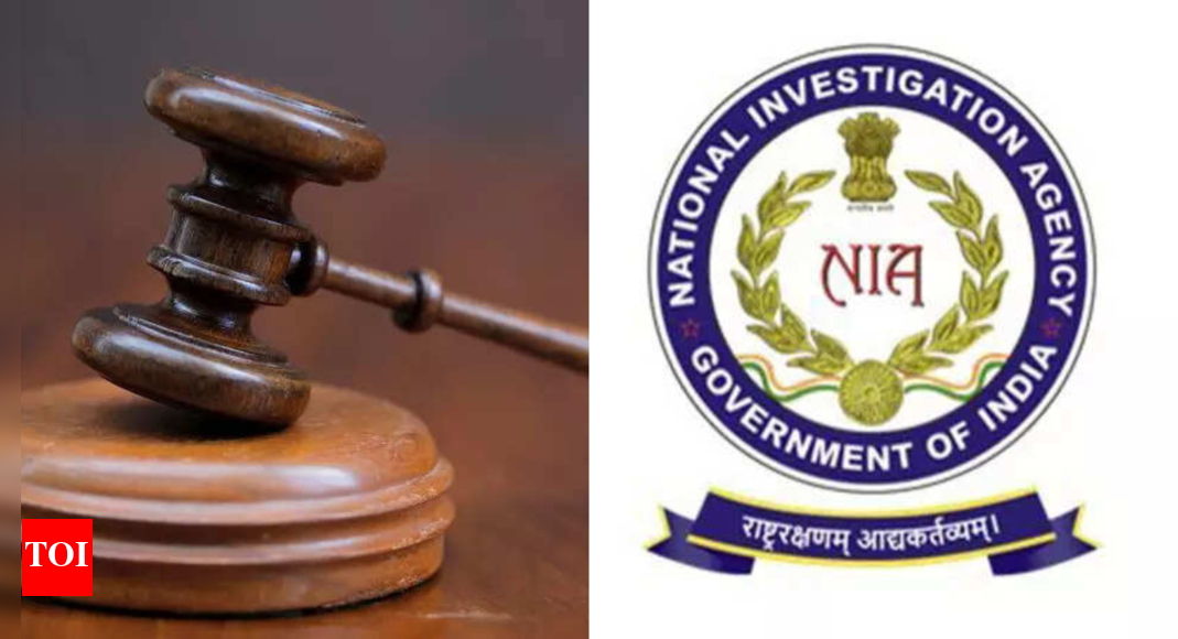 <div>Pahalgam attack: NIA court extends custody by 45 days; accused's forensic, DNA and mobile data reports awaited</div>