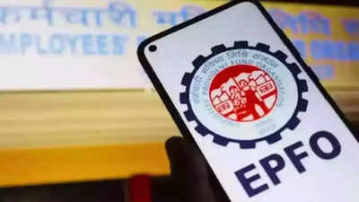 New feature! EPFO launches 'Passbook Lite' - What types of benefits volition  members see?