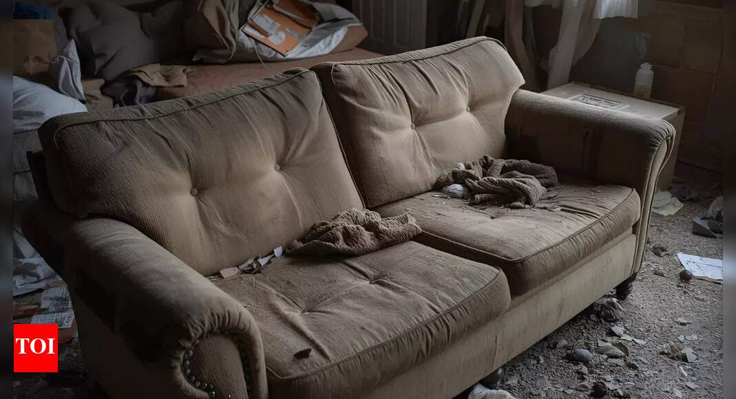 How to tell if your couch is dirty: Signs, cleaning tips, and maintenance guide