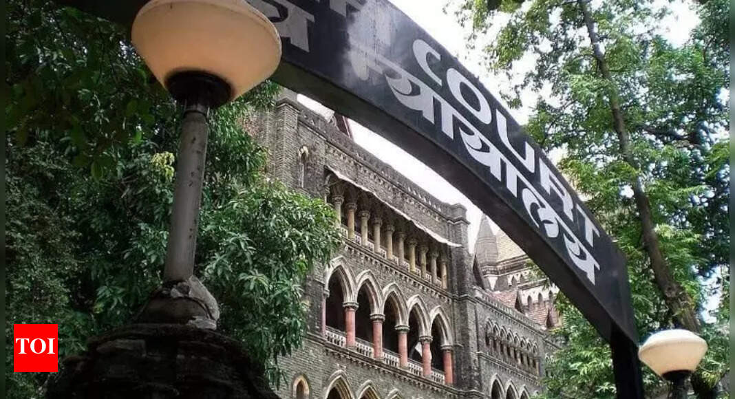 ‘Being bright no ground to quash FIR’: Bombay HC on Pune student’s plea; post criticised Op Sindoor