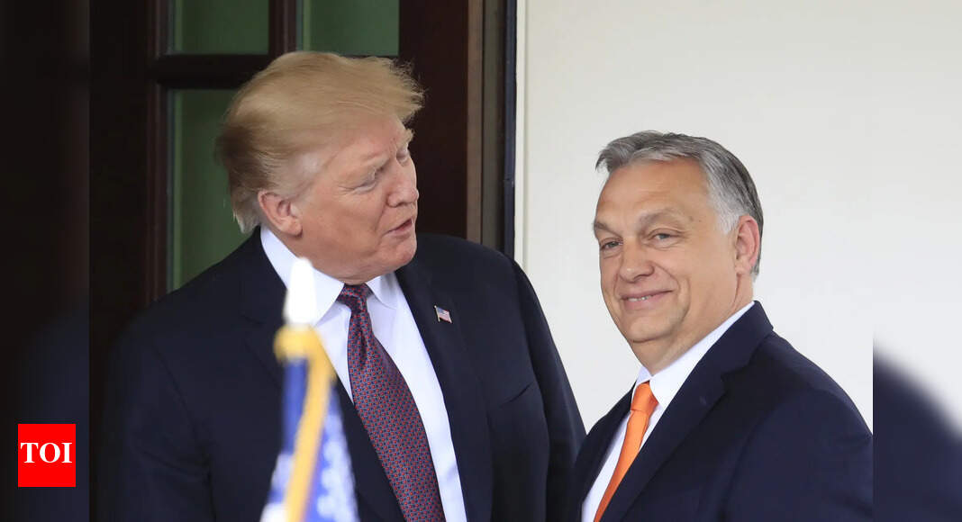'Indeed a terrorist organisation': Hungary's Viktor Orban on Antifa; praises Trump's recent decision
