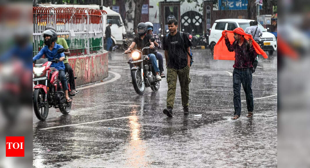 IMD issues red alert for thunderstorm, lightning in several parts of Bihar
