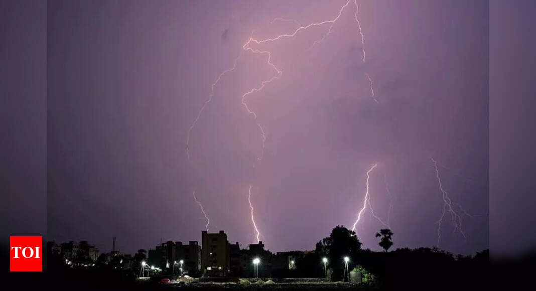 Lightning strikes claim four lives in Bihar