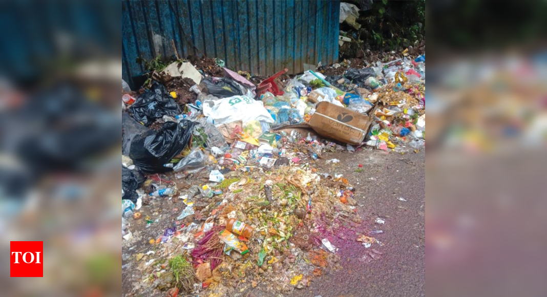 Staff dearth cripples waste collection across Mapusa