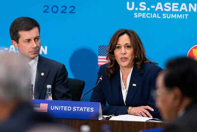 'Why assume Americans won't pick a Black woman president, gay VP? Pete Buttigieg on Kamala Harris' memoir revelation; counters 'he knew it too' claim