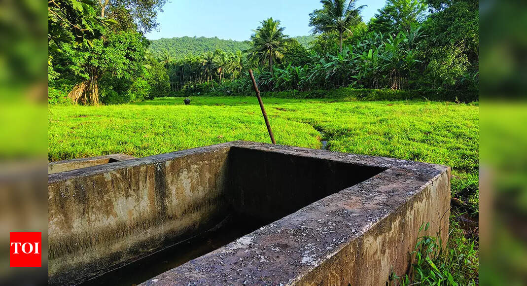 Tribal welfare min’s help sought to thwart IIT at Codar