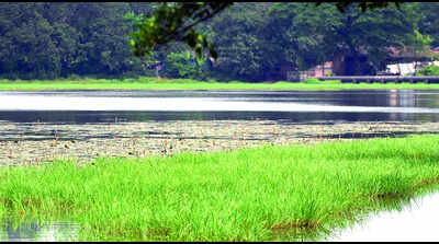 Lake rejuvenation to tackle capital’s summer water woes in two years