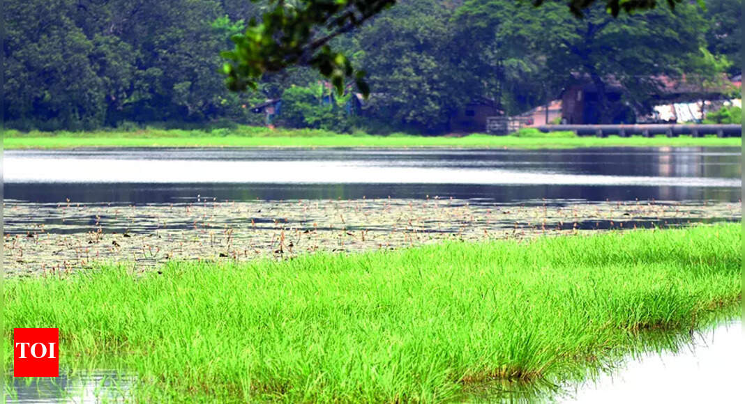 Lake rejuvenation to tackle capital’s summer water woes in two years