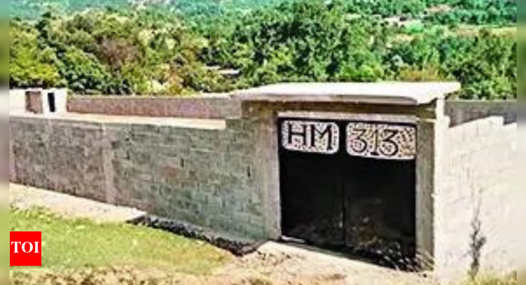 Post-Operation Sindoor, major Pakistan terror groups shifting base to Afghanistan border Post-Operation Sindoor, major Pakistan terror groups shifting base to Afghanistan border