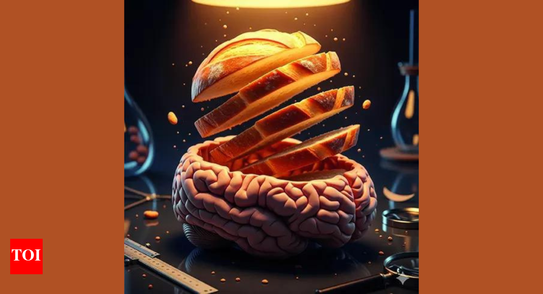 What’s bread got to do with memories?